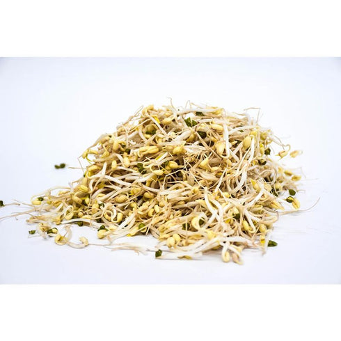 raiz china 250g